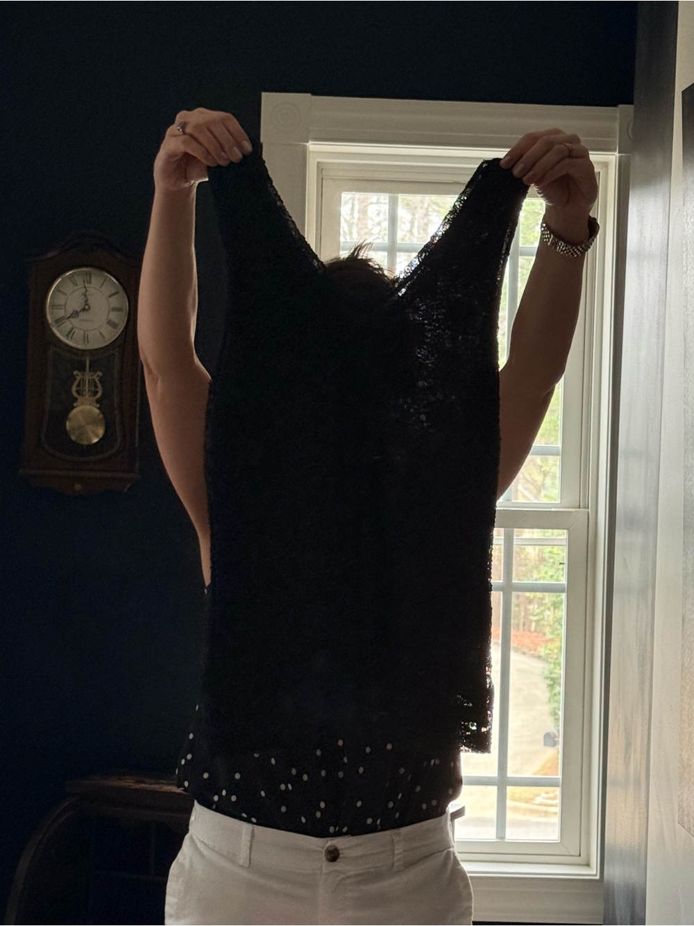 Banana Republic Black Lace V-Neck Camisole
